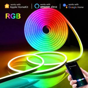 Paket LED Neon Flex Running RGB 5m 5 meter DC 12V/24V Sensor Bluetooth Suara + App Control + Adaptor + Remote Control LED Neon Flex Tinggal Colok