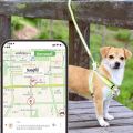 【Pet BHQ】เครื่องติดตาม เครื่องติดตามสัตว์เลี้ยง GPS ติดตามผ่าน Smartphone มีถ่านให้ฟรี !! เครื่องติดตามแมว ของหายในบ้าน. 