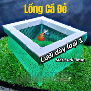 Lồng đẻ lưới  lồng cá đẻ lồng tách cá mái dành cho cá 7 màu guppy bình tích hồng kiếm moly