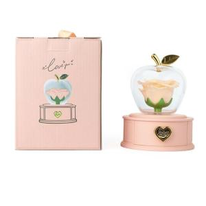 Beautiful Rose Shaped Box Charming Box with Rose Necklace Box for Memorable Moment