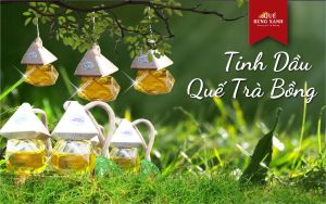 [FREESHIP MAX] Tinh dầu cành lá quế có dây treo Quế Rừng Xanh 10ml nguyên chất 100% sạch không khí chống say xe khử mùi hôi xua đuổi côn trùng - Quế Rừng Xanh