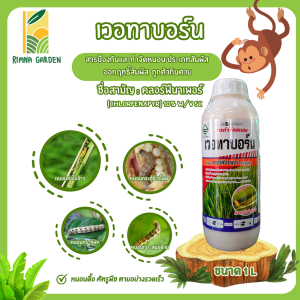 เวอทาบอร์น ขนาด 1 ลิตร คลอร์ฟีนาเพอร์ 10% หนอนกอ หนอนกระทู้ หนอนกระทู้ข้าวโพดลายจุด