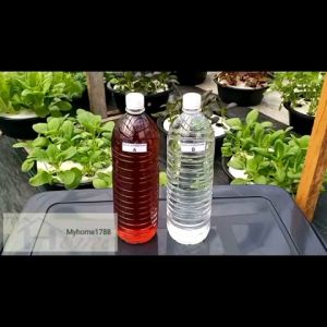 Baja Larutan AB 1 Liter ( 500ML Baja A + 500ML Baja B) Untuk Tanaman Hidroponik