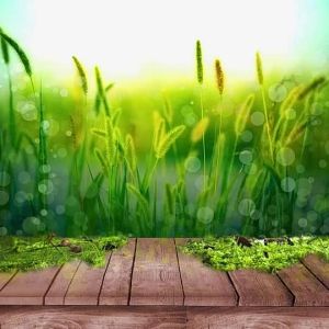 Avon naturals body Spritz 100/250mL