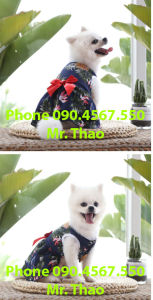 Váy cotton có Nơ cho chó mèo mùa xuân hè mùa thu phong cách Hawaii  Váy cotton cho thú cưng  Quần áo thú cho chó mèo