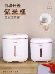 Vnloo/ASWEI 5KG & 10KG Bekas Beras Rice Storage Box Insect-proof Sealed Food Moisture-proof Rice Dispenser Container
