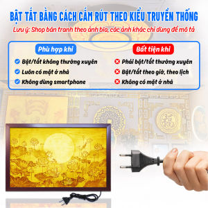 Đèn Hào Quang Trúc Chỉ In Ngang Hoa Sen Trang Trí Bàn Thờ Treo Tường TC-TN-56