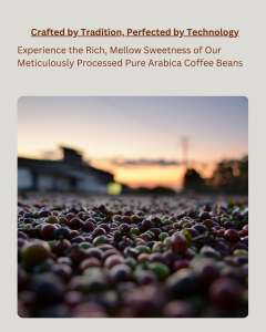 Roast Reverie Organic Italian Style Dark Roast Arabica Coffee Beans - Strong Body Roast Almond & Dark Chocolate Flavor 250g