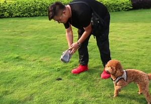 Foldable Dog Waste Scooper for Walks PortablePoop Picker with Built-in Bag Storage Handheld Dog Waste Cleanup Tool