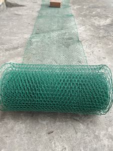 Lưới Sắt Màu Xanh Ô Lục Giác Chất Lượng Cao 50cm x 1m - Vật Chụp Chuồng Nuôi Gà Vịt Thú Cưng