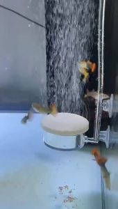 Aquarium Air Pump Mute Oxygen-increasing Head Fish Tank Aeration Refiner Oxygen Diffuser Air Stone Supplies