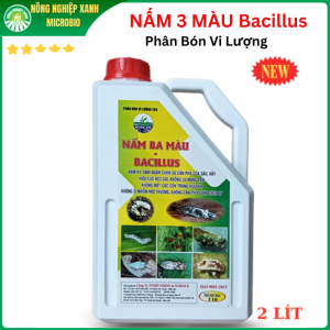 NẤM 3 MÀU Bacillus Phân Bón Vi Lượng