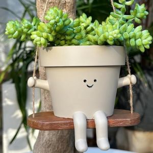 【SG Dliver】Display of Hanging Planters Indoor and Outdoor Plants Succulents String of Pearls Living Resin Planters