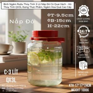 Bình Thủy Tinh Có Vòi 3 Lit Nắp Đỏ Cao Cấp - Hũ Thủy Tinh QX3L Ngâm Rượu Đựng Nước Detox Nước Hoa Quả Có Quai Xách