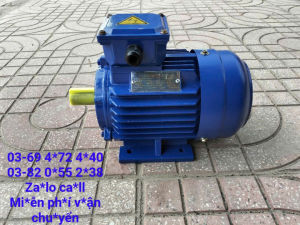 Động cơ 3pha 15kw Toàn Phát chạy nhanh 2850v/p lõi đồng