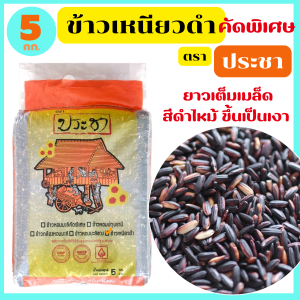 ข้าวเหนียวดำแท้ 100% คัดพิเศษ เต็มเมล็ด ดำเป็นเงา นุ่มเหนียว หอมอร่อย ขนาด 5 กก./25 กก. ตรา ประชา
