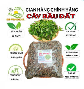 100g cây bầu đất sấy khô hữu cơ