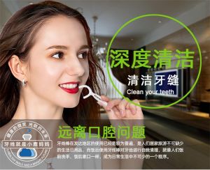 [SG Stock]FAWNMUM 2in1 Dental Floss&Tooth Picks Oral Hygiene Clean&CareTool Ultra-fine