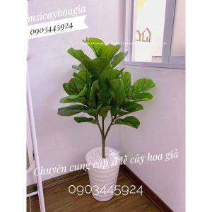 Cây bàng Singapore cao 1m lá to giống thật kèm chậu nhựa trắng  -Cây Giả