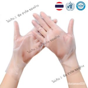 อุปกรณ์ทุกขนาด 100 ชิ้น ถุงมือทำอาหาร TPE เกรดอาหาร ใช้แล้วทิ้ง ถูกเสริมความยืดหยุ่นของการทำอาหาร สามารถเห็นครั้งแรกของคุณ ไม่ขาดง่าย