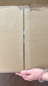 【12 Packs】RoyoPanda Hanging Tissue Tissue Gantung Tisu Gantung Viral Tisu Viral  Facial Tissue Tissue Paper 120*170mm 2760 Pulls