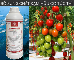 Phân đạm cá Docneem phân cá Fish Emulsion (1 lít) hữu cơ cho hoa hồng rau sạch hoa cây cảnh trong nhà ngoài trời