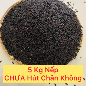 Gạo Nếp Cẩm - Nếp Than 5Kg hút chân không từng kilogram một - Thơm ngon dẻo vừa ngọt cơm màu tím đen