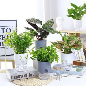 Self Watering Pot Water Plant Pot Indoor Flower Pot Double layer Succulents Auto Irrigate Home Decor Garden Supplies