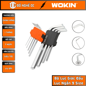 Bộ Lục Giác Đầu Lục Ngắn 9 Size Bộ Lục Lăng Cao Cấp 207209 Wokin Tools chất liệu hợp kim thép cứng cao cấp không dễ bị gãy