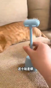 Cat Message Toy for Indoor Cat and Kitten Fun Exercise and Entertainment Interactive Mini Rake with Holder