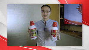 ฅนขี่ม้า พาราไวท์ ขนาด 1 ลิตร แถมแปรง 1 อัน