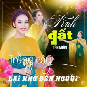 Album CD Tân Nhàn - Giai Điệu Quê Hương : Phôi Verbatim Phono-R Cao Cấp (Tuyển Chọn 15 Bài)