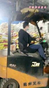 护坡固土草籽四季常青景观绿化河堤鱼塘护坡多年生免修剪草坪种子