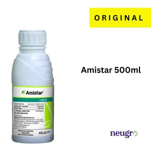 Syngenta AMISTAR 500ml Racun Kulat Bintik Daun Antraknos Kulapuk Downy Cili Timun Azoxystrobin 22.94% Fungicide Alternaria Anthracnose Chilli 杀菌剂 炭疽病
