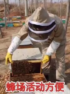 LANFY Bee Outfit Bee Suit Gloves Bee Suit with Gloves Beekeeping Suits Beekeeper Suit Bee Keeper Gear Coveralls Bee Outfit Collect information