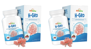 【Ship in 24h】EXP2028 100% Original KidGlow H-GRO Nutritional Height Booster Calcium 营养增高钙