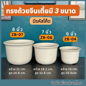 กระถางถ้วยจีนเตี้ย 6นิ้ว 7นิ้ว 8นิ้ว