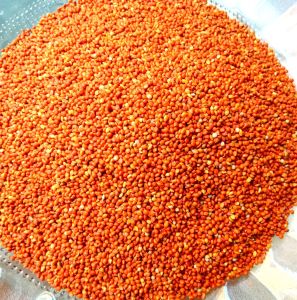 Hạt kê đỏ cho chim cảnh 1kg