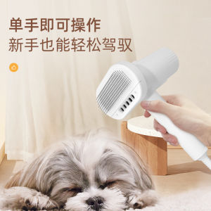L&W Pet hair dryer dog hair blowing artifact cat bathing hair blowing and napping