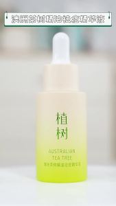 Trồng cây trà Úc tinh chất điều trị mụn mới   Nước tinh chất trị mụn làm tươi mát cho da dầu dễ bị mụn