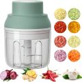 ElectricFood Chopper,250ML Portable Garlic Chopper with USB Charging Function,Food Slicer for Onion Vegetables Chili Ginger Meat Nuts Fruits Salad (Green). 