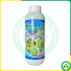 Phân Bón VL GROUP Bo Canxi – BUÔNG ĐÒN XOÀI – TRÁI LỚN NHANH NẶNG KÝ ĐẸP MÀU (Chai 1000ml)