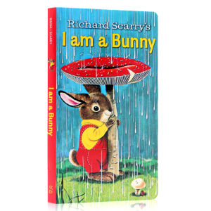 I Am a Bunny Children picture boardbook