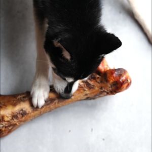 Premium Ostrich Bone - hypoallergenic dog treats high value dog chew single protein