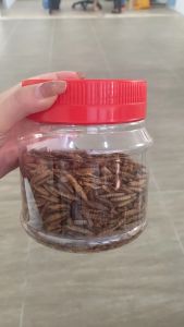 Black Soldier Fly Larvae pet food