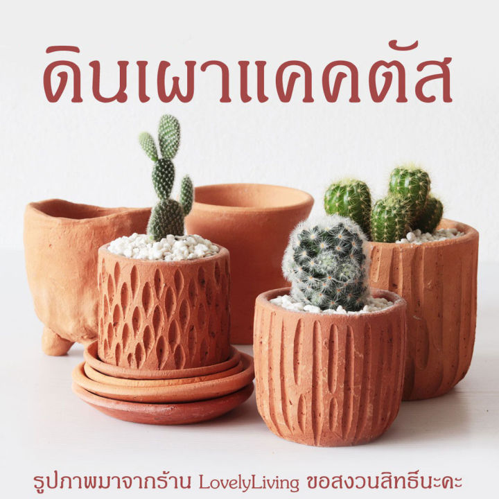 กระถางดินเผาแคคตัสขนาด 3-4 นิ้ว