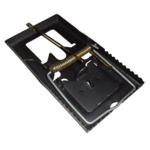 JEPIT tikus / perangkap tikus /jebakan tikus