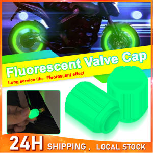 Luminous Tire Valve Cap Car Wheel Tire Valves Car Motorcycle Bicycle Wheel Styling Tyre Hub Luminous Cap Decor VA166