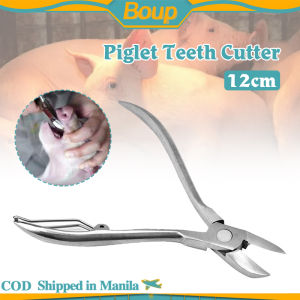 12cm Stainless Steel Pig Tooth Nipper Piglet Teeth Cutter for Dog Piglet