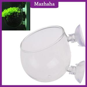 Mazhaha Fish Tank Mini Pot Water Potted Aquatic Planting Cylinder Cup